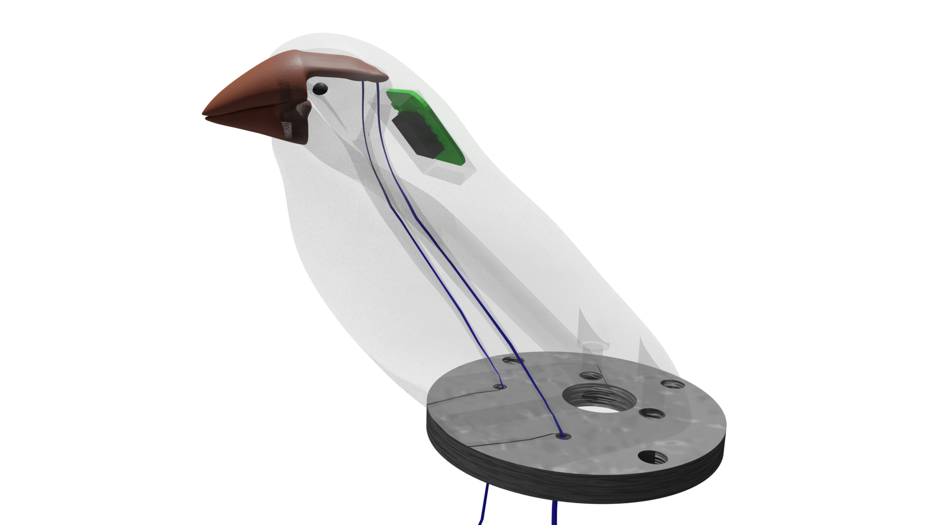 Image shows a 3D render of a transparent artificial bird with various features visible inside